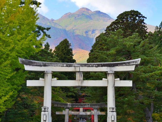 一番後ろに緑の山があって、写真手前側に白い大きな鳥居がそびえています。